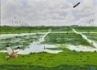 Expositie Arie den Tuinder in gemeentehuis Oud-Beijerland