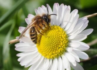 Schrijf je in: symposium HWL “Van Verwondering tot Verandering” – 10 september in Numansdorp