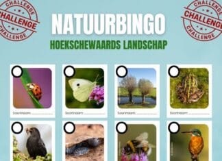 Bingo! Maar dan midden in de Hoeksche Waardse natuur