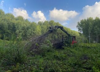 Opnieuw bosnatuur verstoord na missers gemeente en Omgevingsdienst