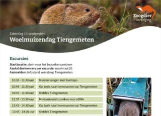 13 september: Woelmuizendag op Tiengemeten