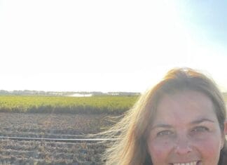 De Hoeksche Boerin: Droogte, kluiten en een blik vooruit