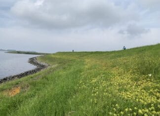 Bloemdijken: eindeloos touwtrekken