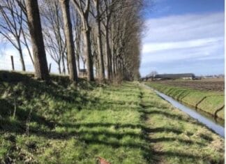 Het is weer tijd voor de najaarschoonmaak in Zuid-Beijerland