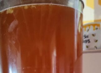 Echte honing met korting van de tap bij Imkerij TotalisNaturales