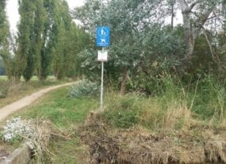 Kriebelbeestjes gezocht! Bodemdierendag met HWL op 8 oktober