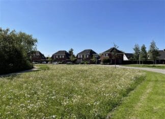 Natuurvriendelijk maaien in volle gang in de Hoeksche Waard