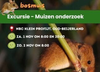 Ga je mee muizen tellen rondom NBC Klein Profijt?