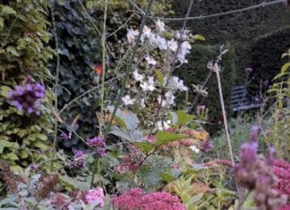 Lezing Groei en Bloei: Natuurlijk tuinieren met dieren en planten