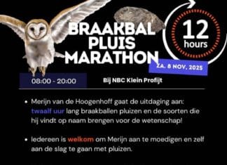 12 uur lang braakballen pluizen bij Klein Profijt!