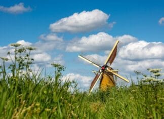 Adviescommissie Beeldende Kunst zoekt nieuw commissielid met groot hart voor kunst en cultuur