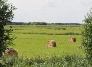 Excursie natuur en cultuurhistorie Polder Groot Koninkrijk op zaterdag 18 oktober