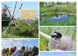 Crowdfundingactie gestart voor Voedselbos ‘Nabij het Oudeland’ in Strijen