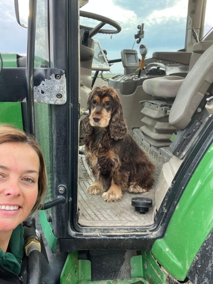 De Hoeksche boerin: “Van het opnemen van een Optimel commercial, tot het zaaien van tarwe.”