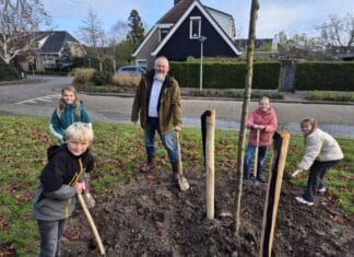 Boomfeestdag in de Hoeksche Waard opnieuw groot succes