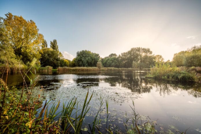Waterschap investeert 130 miljoen in veilige en leefbare regio