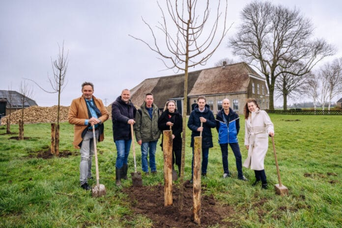 Hoeksche Waard krijgt groene impuls met duizenden bomen en struiken