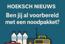 Uitslag poll: bijna helft stemmers in de Hoeksche Waard vindt een noodpakket nog niet nodig