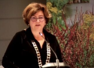 Burgemeester Marian Witte wenst raad, medewerkers en Hoeksche Waarders fijne feestdagen