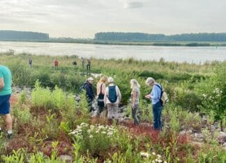 Eindejaars Plantenjacht in Zuid-Beijerland