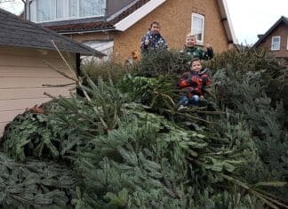 Inzameling kerstbomen op woensdag 7 januari 2026