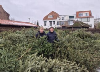 Lucas en Luca zamelen meeste kerstbomen in Hoeksche Waard in
