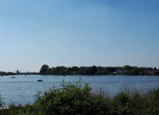 Water Natuurlijk: waterkwaliteit op Zuid-Hollandse eilanden blijft zorgwekkend slecht