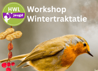 Jeugdworkshop Wintertraktatie voor vogels op woensdag 21 januari in Numansdorp