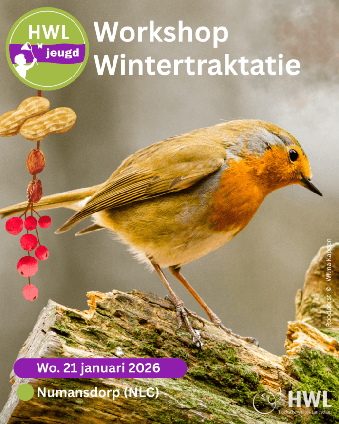 Jeugdworkshop Wintertraktatie voor vogels op woensdag 21 januari in Numansdorp