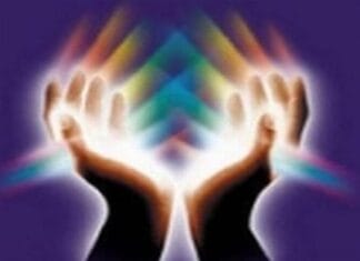 Workshop Chakra-Code: Vrijdag 6 februari 2026 in ‘s-Gravendeel