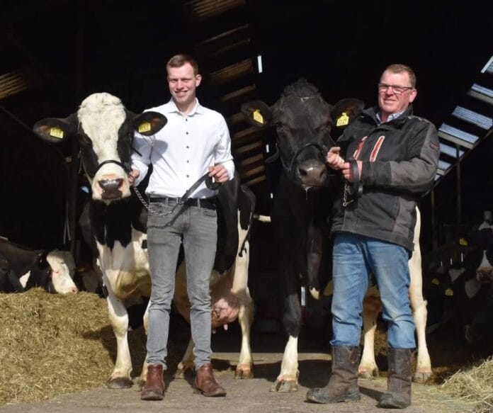 Twee kampioenskoeien tegelijk bij Boerderijwinkel Zevenbergen in Piershil