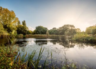 Cursus voor toekomstige waterschapsbestuursleden