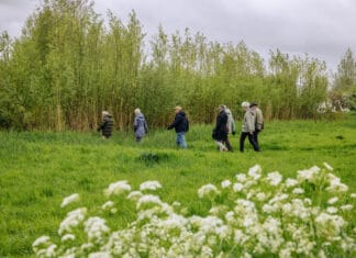Kom de natuur in: Gezond Natuur Wandelen – elke eerste zondag van de maand