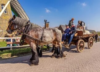 Tweede Paasdag: historisch graantransport in de haven van Puttershoek