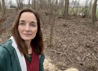 Onbegrijpelijke kap van zo’n 160 bomen in natuur bij Kiltunnel