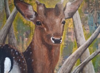 Expositie Pauline van Roon in natuurbezoekerscentrum Klein Profijt