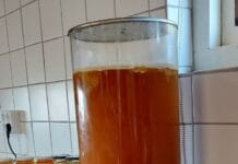 Echte honing met korting van de tap bij Imkerij TotalisNaturales op zaterdag 21 maart