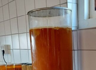 Echte honing met korting van de tap bij Imkerij TotalisNaturales op zaterdag 21 maart