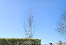 SVHW viert 25-jarig jubileum