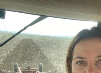 Column | De Hoeksche boerin: “Het land ligt klaar, maar het weer beslist”