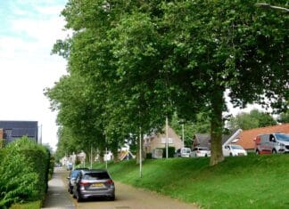 Broedseizoen begonnen: gemeente roept op tot extra oplettendheid in het groen