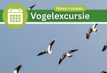 Vogelexcursie ‘Horen is Scoren’