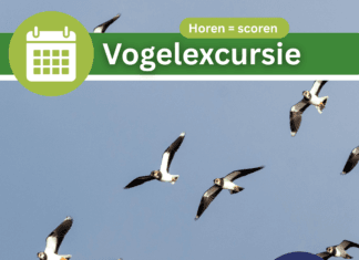 Vogelexcursie ‘Horen is Scoren’