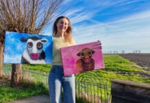 Bibliotheek Hoeksche Waard organiseert creatieve, culturele en historische activiteiten in mei