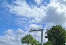 Flitsapparaat geplaatst op N217 richting Maasdam nabij Campina