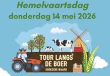 Tour langs de Boer op Hemelvaartsdag langs molens, boeren en Museum Hoeksche Waard