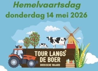 Tour langs de Boer op Hemelvaartsdag langs molens, boeren en Museum Hoeksche Waard