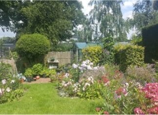 Open tuinen op 23 en 24 mei in Numansdorp