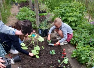 BuitenLokaal van Vereniging Hoeksche Waards Landschap krijgt landelijke erkenning