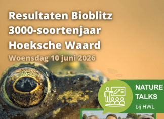 Symposium blikt terug op succesvol 3000-soortenjaar in de Hoeksche Waard